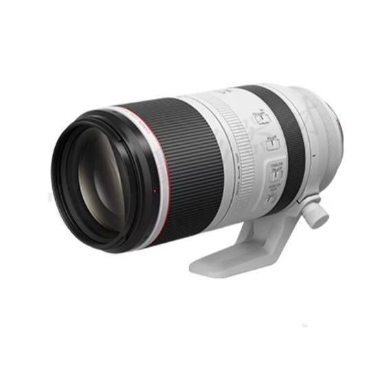 [來電優惠] 送保護鏡N RF100-500mm f/4.5-7.1L IS USM 專業超望遠變焦鏡頭~公司貨 ‼現貨-細節圖2