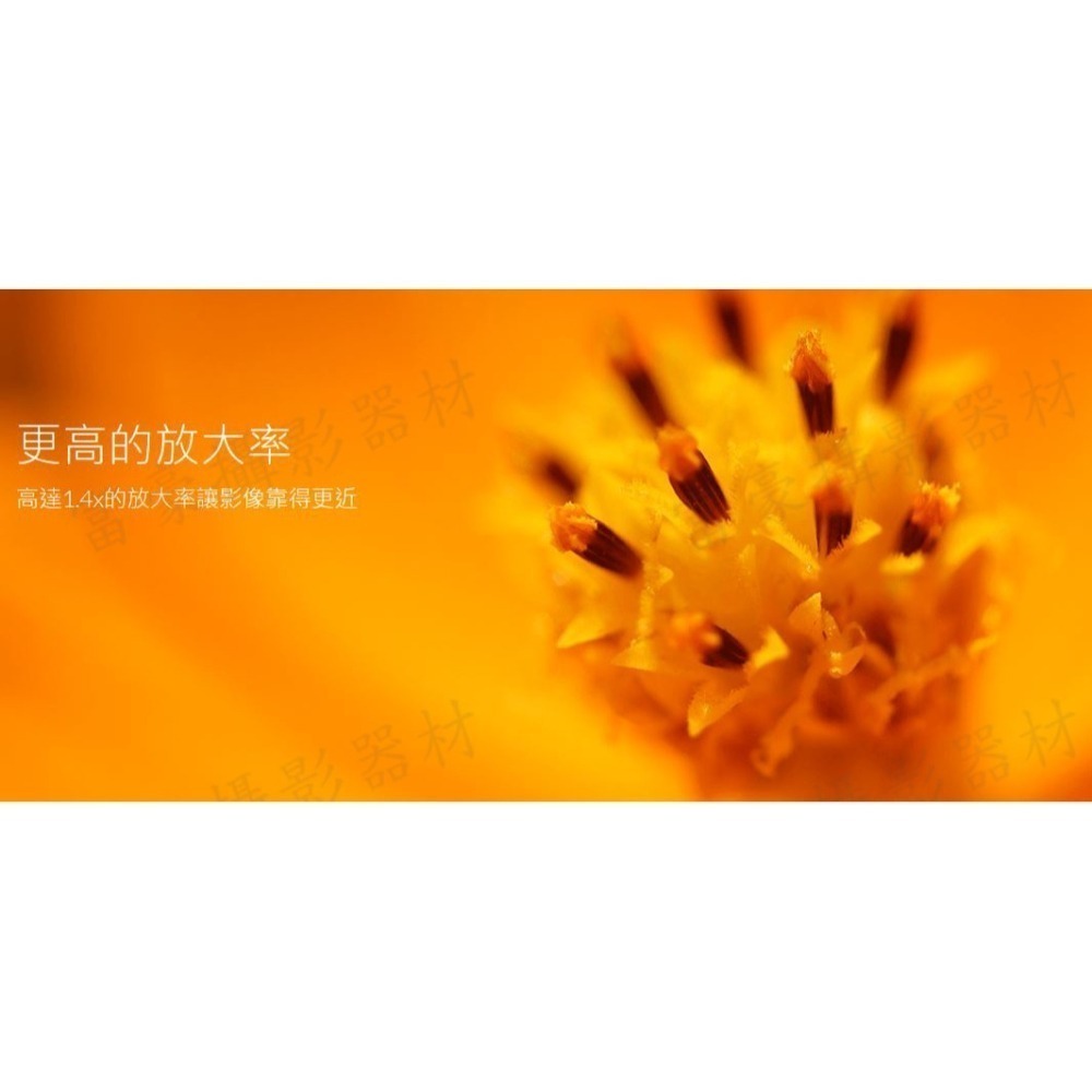 [現折9仟] CANON RF100mm f/2.8L Macro IS USM全片幅自動對焦微距鏡頭~公司貨-細節圖4