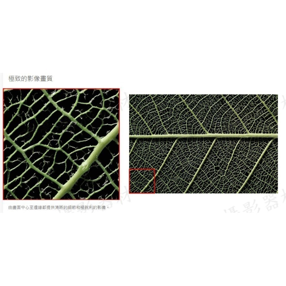 [現折9仟] CANON RF100mm f/2.8L Macro IS USM全片幅自動對焦微距鏡頭~公司貨-細節圖6