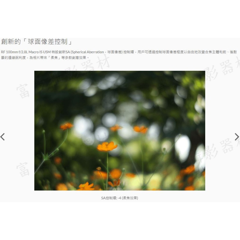 [富豪相機] CANON RF100mm f/2.8L Macro IS USM全片幅自動對焦微距鏡頭~公司貨-細節圖8