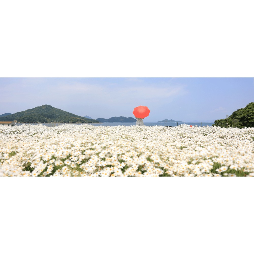 [富豪相機］CANON RF24mm f/1.8 MACRO IS STM 全片幅廣角微距RF鏡頭～公司貨-細節圖3