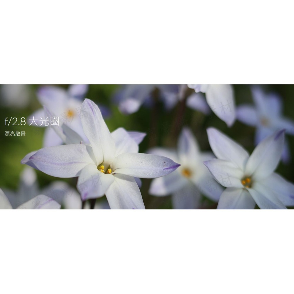 [富豪相機] CANON RF28mm f/2.8 STM 鏡頭 全片幅RF廣角餅乾鏡~公司貨~送5合一清潔組-細節圖10