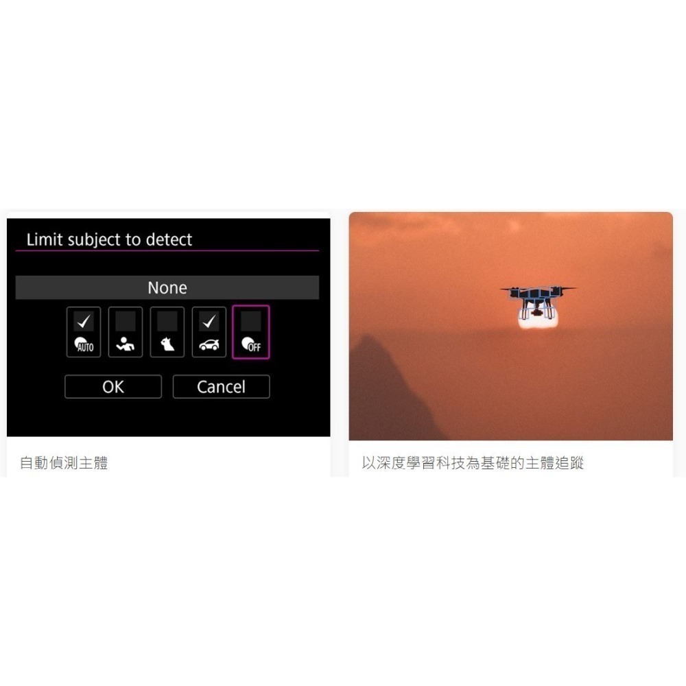 [優惠] Canon EOS R6 Mark II 全片幅相機  RF24-105mm f/4-7.1-細節圖9