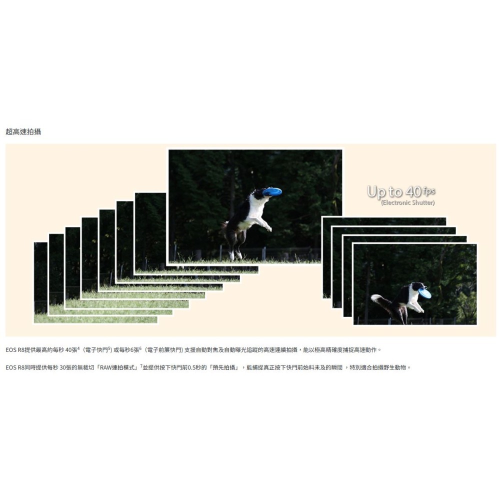 [5/1-6/30優惠] Canon EOS R8 最輕巧的全片幅相機 RF24-50mm f/4.5-登錄送電池印相機-細節圖6