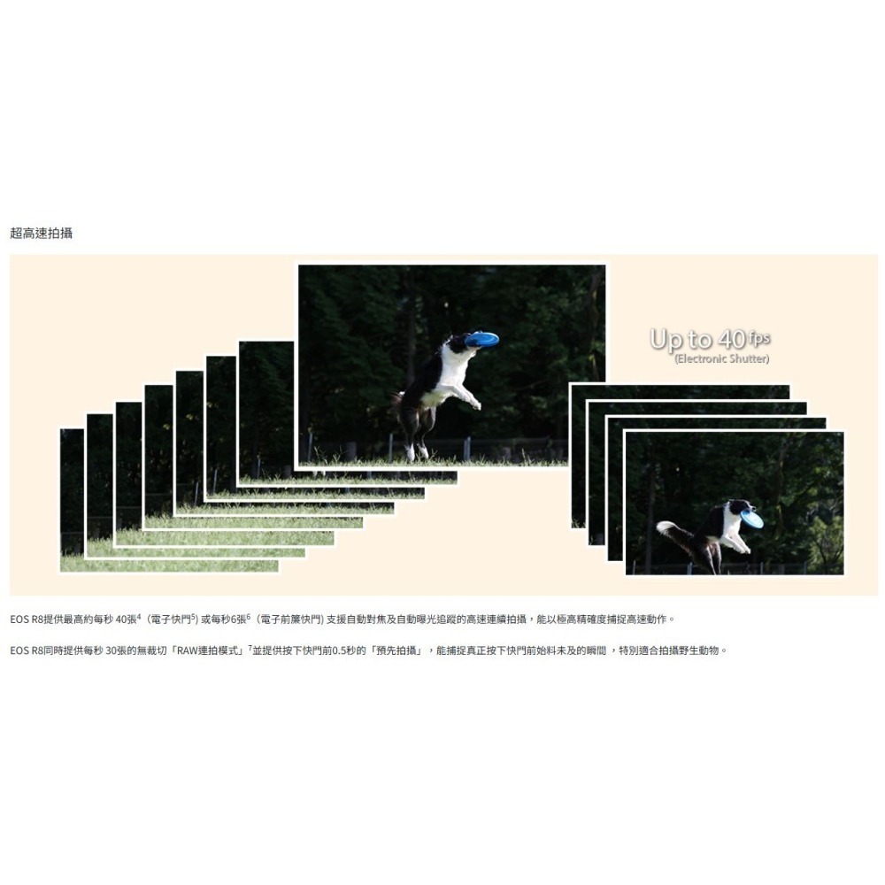 [2026/4/1-6/30活動] Canon EOS R8 最輕巧的全片幅相機-細節圖6