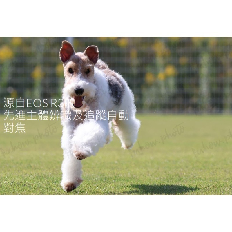 [1/1-3/31優惠] CANON EOS R50 (RF-S18-45mm 單鏡組) 白色 黑色活動登錄送電池-細節圖10