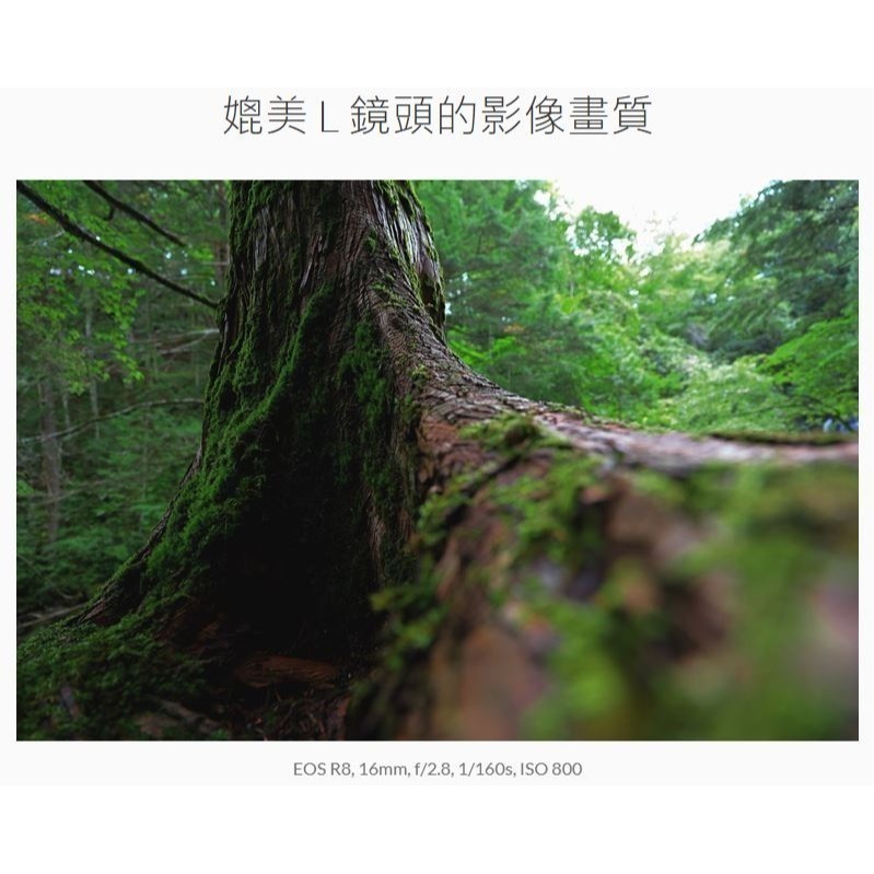 [1/1-3/31惠價] CANON EOS R8 +RF16-28mm f/2.8 IS STM送RF50F1.8-細節圖6