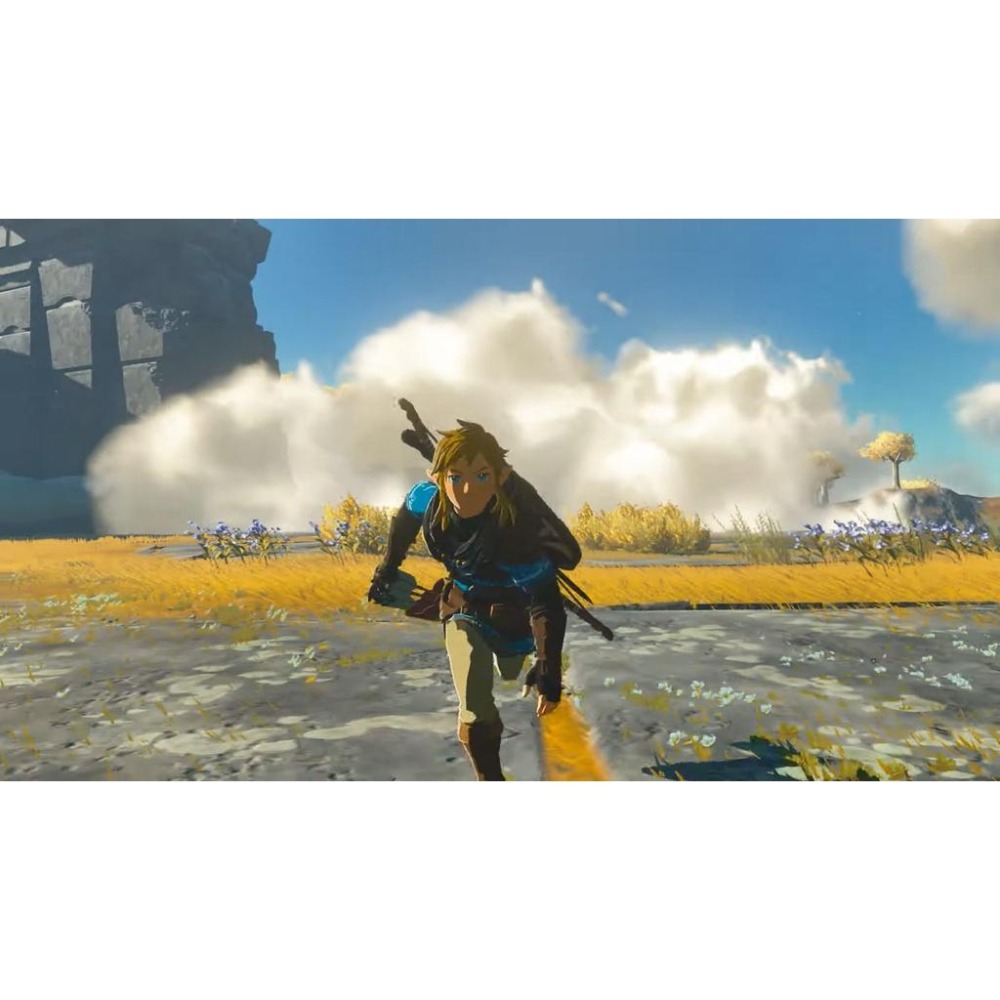 【可可電玩】<現貨>Switch NS《薩爾達傳說 王國之淚》中文版 薩爾達傳說2 薩爾達-細節圖4