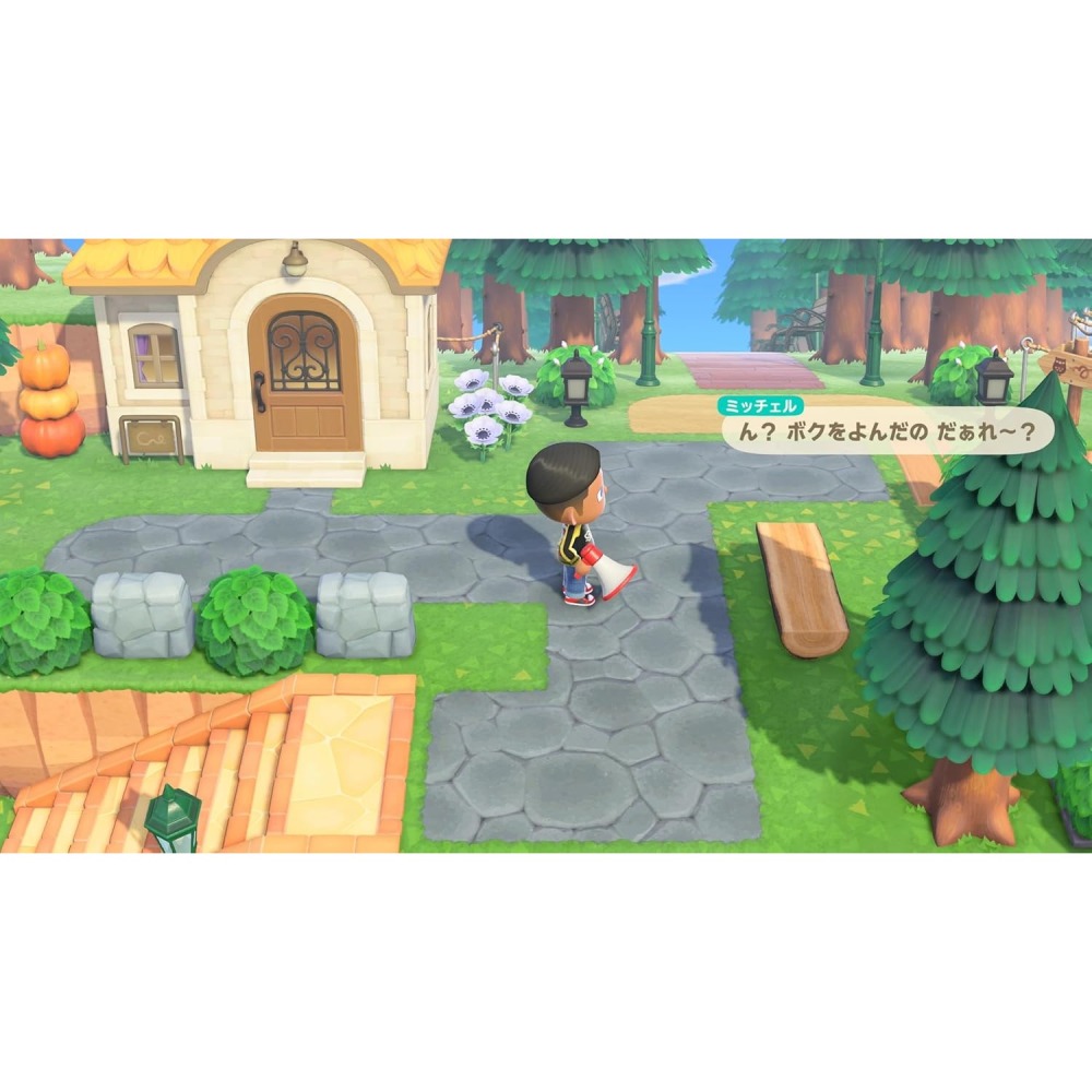 【可可電玩】Switch2 NS2《集合啦！動物森友會》中文版 動森 森友會 快樂家樂園 狸克 大頭菜-細節圖3