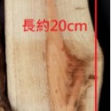 (大): 長約20cm