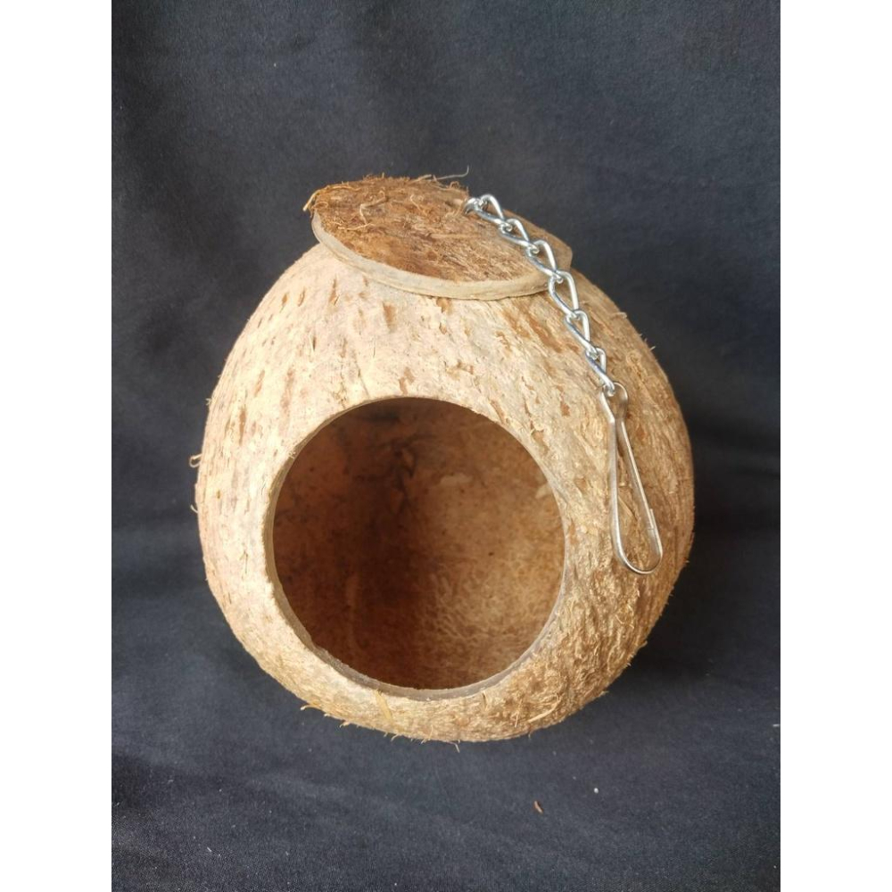 ✰FatBuu木作屋✰ 【吊掛 椰子殼窩】（建議小型鳥使用、椰子殼、保暖、鳥窩、倉鼠、鳥用品、手工鸚鵡玩具、啃咬玩具)-細節圖2