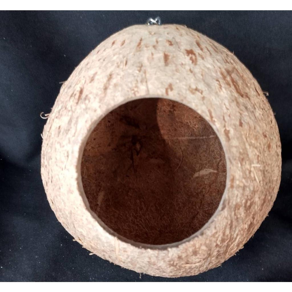 ✰FatBuu木作屋✰ 【吊掛 椰子殼窩】（建議小型鳥使用、椰子殼、保暖、鳥窩、倉鼠、鳥用品、手工鸚鵡玩具、啃咬玩具)-細節圖4