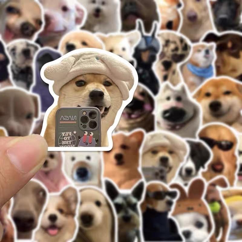 預購🎀潮流貓狗貼紙 動物貼紙 寫實貼紙 裝飾貼紙 素材貼紙 手帳貼紙 貼紙控 貓奴-細節圖4