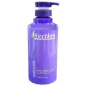 【Section 雪克遜】洋甘菊瞬間固色護髮素500ml // 1000ml-規格圖1