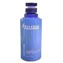 【Section 雪克遜】一分鐘瞬間護髮靈500ml // 1000ml-規格圖1