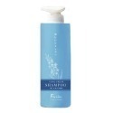 【fengnian 豐釀】梔子花沁涼洗髮精1000ml // 梔子花沁涼護髮素1000ml-規格圖1