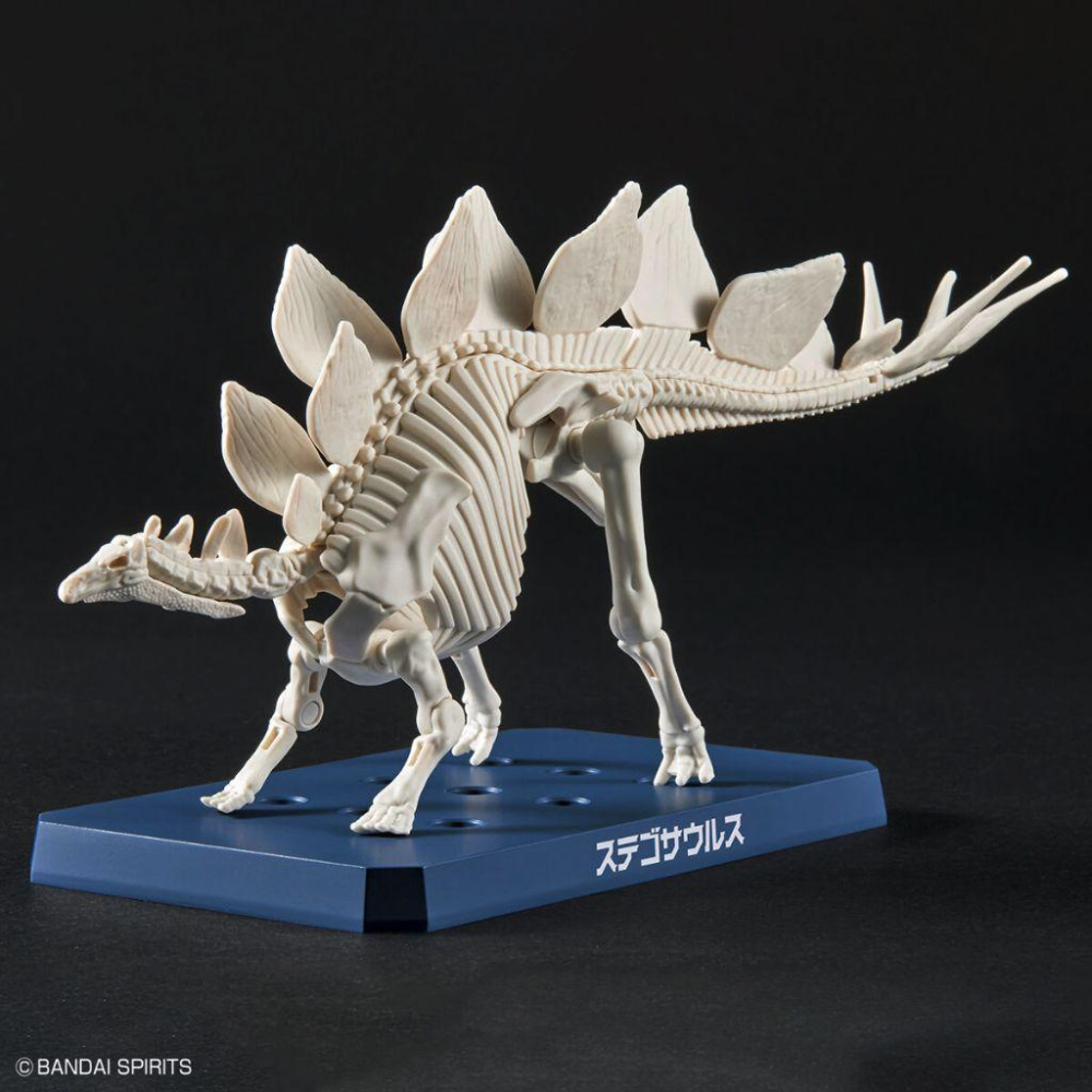 BANDAI 萬代 恐龍組裝模型 #03 劍龍 5065110-細節圖6