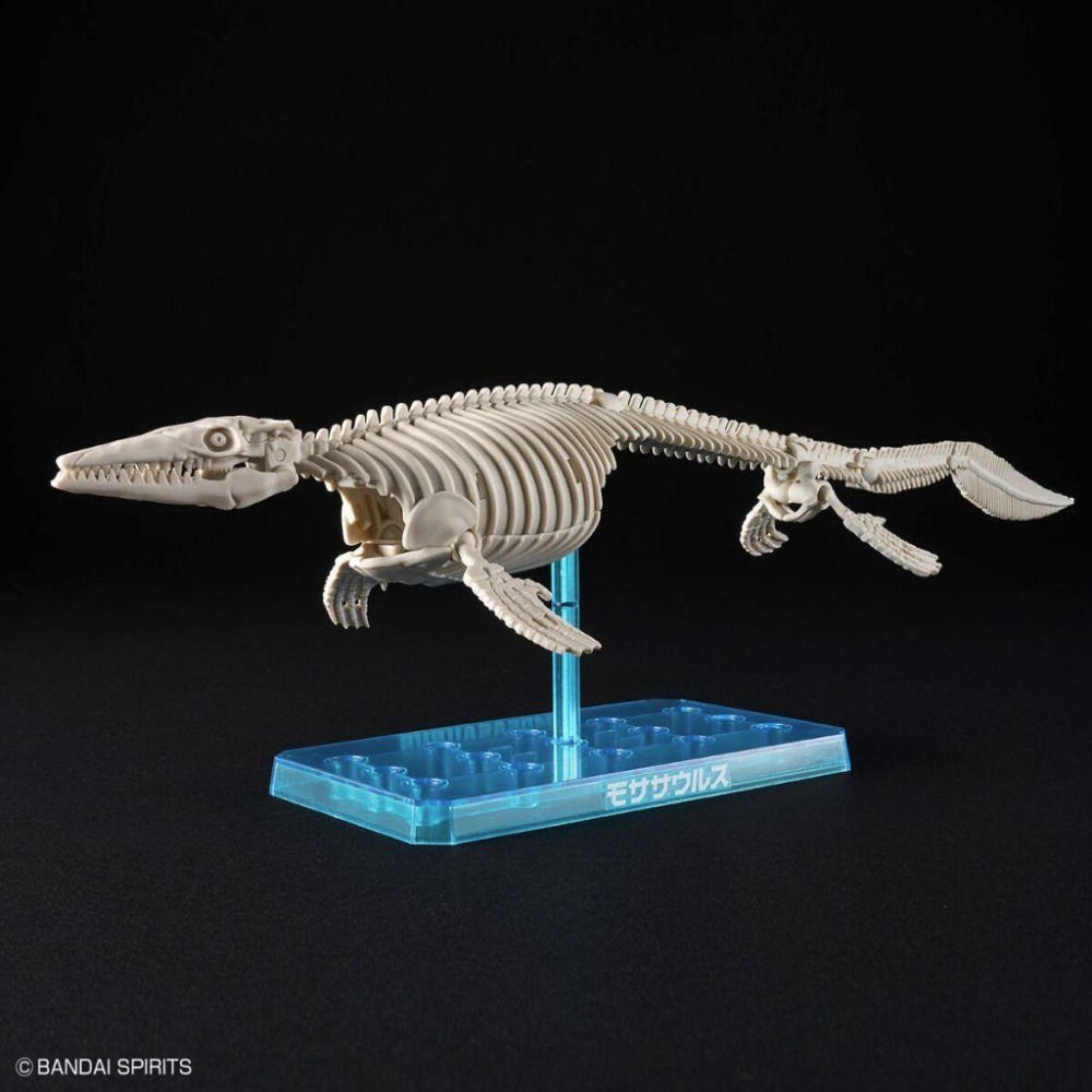 BANDAI 萬代 恐龍組裝模型 #04 滄龍 5065321-細節圖5