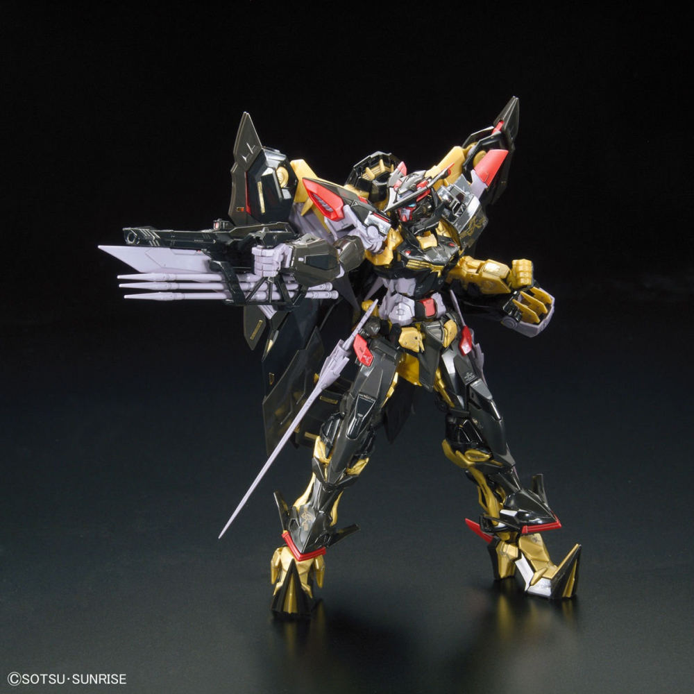 BANDAI 萬代 RG 1/144 #24 異端鋼彈 金色機 天蜜娜 5055460-細節圖3