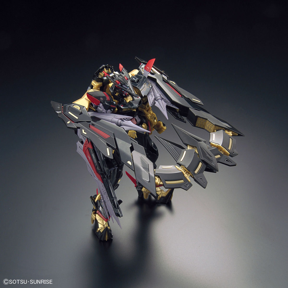 BANDAI 萬代 RG 1/144 #24 異端鋼彈 金色機 天蜜娜 5055460-細節圖4