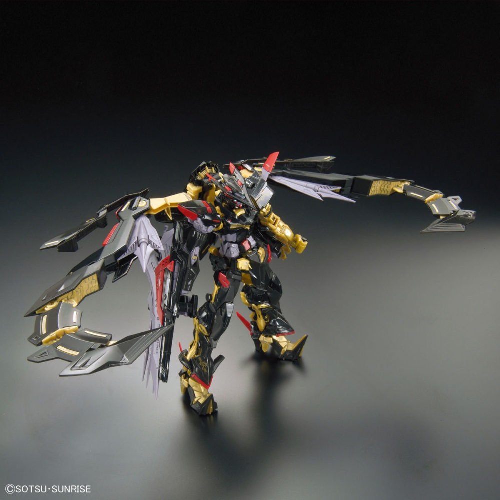 BANDAI 萬代 RG 1/144 #24 異端鋼彈 金色機 天蜜娜 5055460-細節圖5