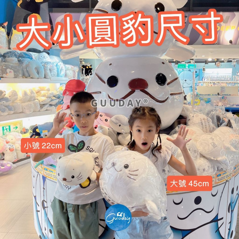 海豹 娃娃 泡沫粒子 過敏兒推薦 萊卡彈力布 屏東海生館 XPARK 海生館 療癒 生日禮物 聖誕節 抖音 GUUDAY-細節圖3