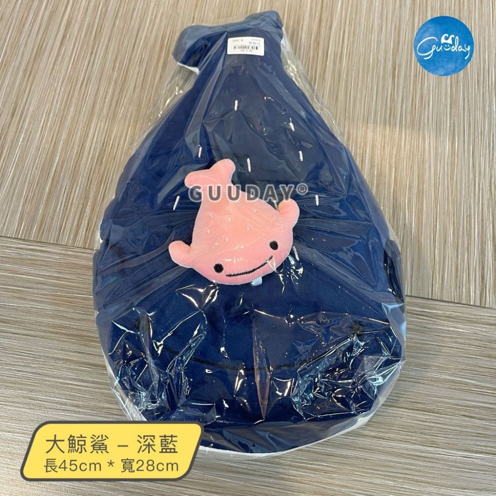 鯨鯊 豆腐鯊 娃娃 吊飾 屏東海生館 XPARK 海生館 可愛娃娃 療癒玩具 鯨鯊娃娃 鯨鯊吊飾 生日禮物 GUUDAY-細節圖4