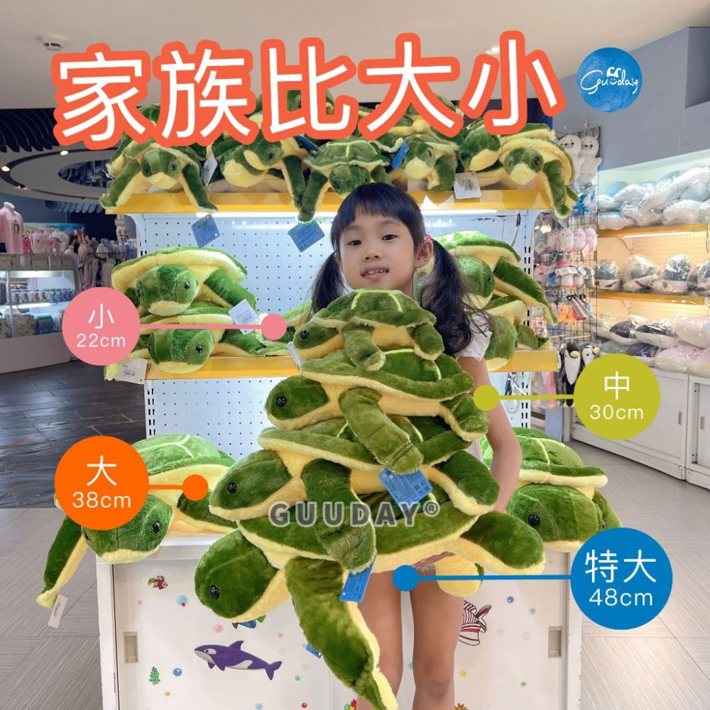 海龜 娃娃 屏東海生館 XPARK 小琉球 綠島 綠蠵龜 娃娃 布偶 抱枕 生日禮物 療癒玩具 可愛的東西 GUUDAY-細節圖3