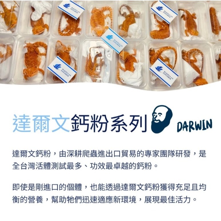 【陸龜小學堂】達爾文 爬蟲保健 爬蟲鈣粉 益生菌 爬蟲維生素 D3鈣粉 寵物營養品-細節圖3