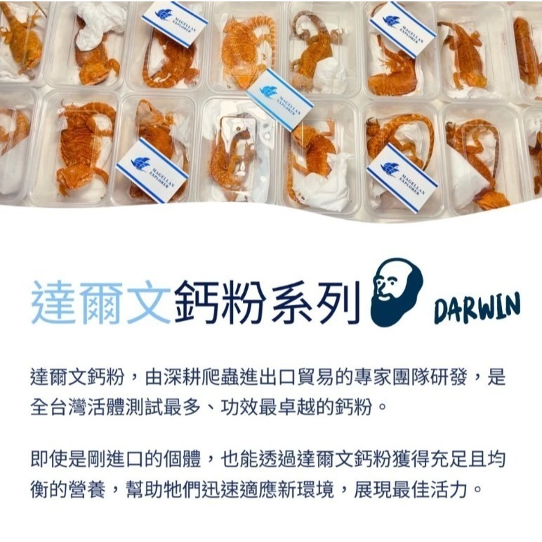 【陸龜小學堂】達爾文 爬蟲保健 爬蟲鈣粉 益生菌 爬蟲維生素 D3鈣粉 寵物營養品-細節圖3