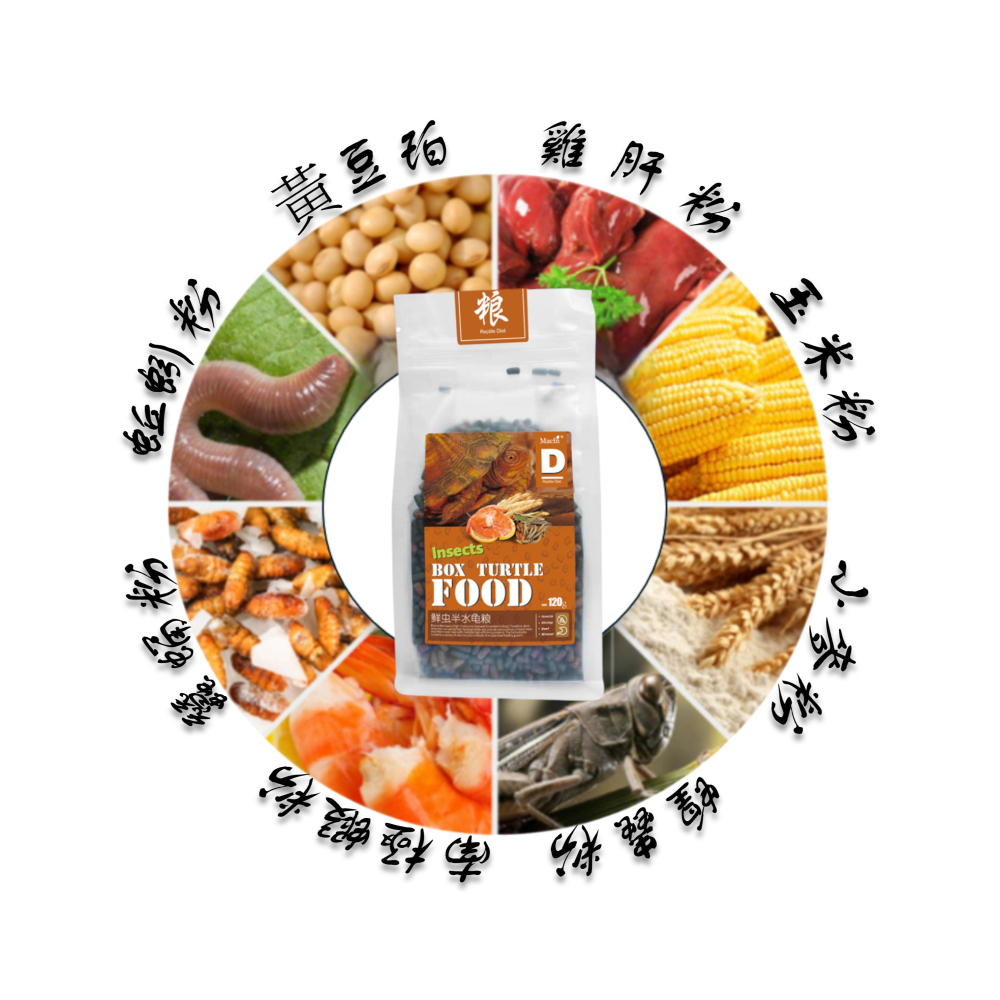 【陸龜小學堂】Macfn 澤/箱龜 水果飼料 腿類陸龜推薦-細節圖3