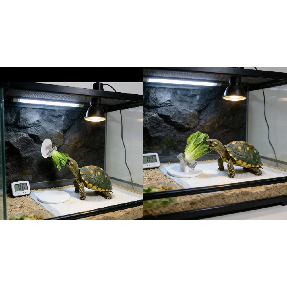 廣告夾 夾子 POP夾 貨架夾  展示夾  價格牌夾-細節圖2