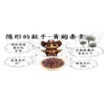 【陸龜小學堂】陸龜飼料總匯 陸龜飼料 試吃包 (50克)-細節圖2