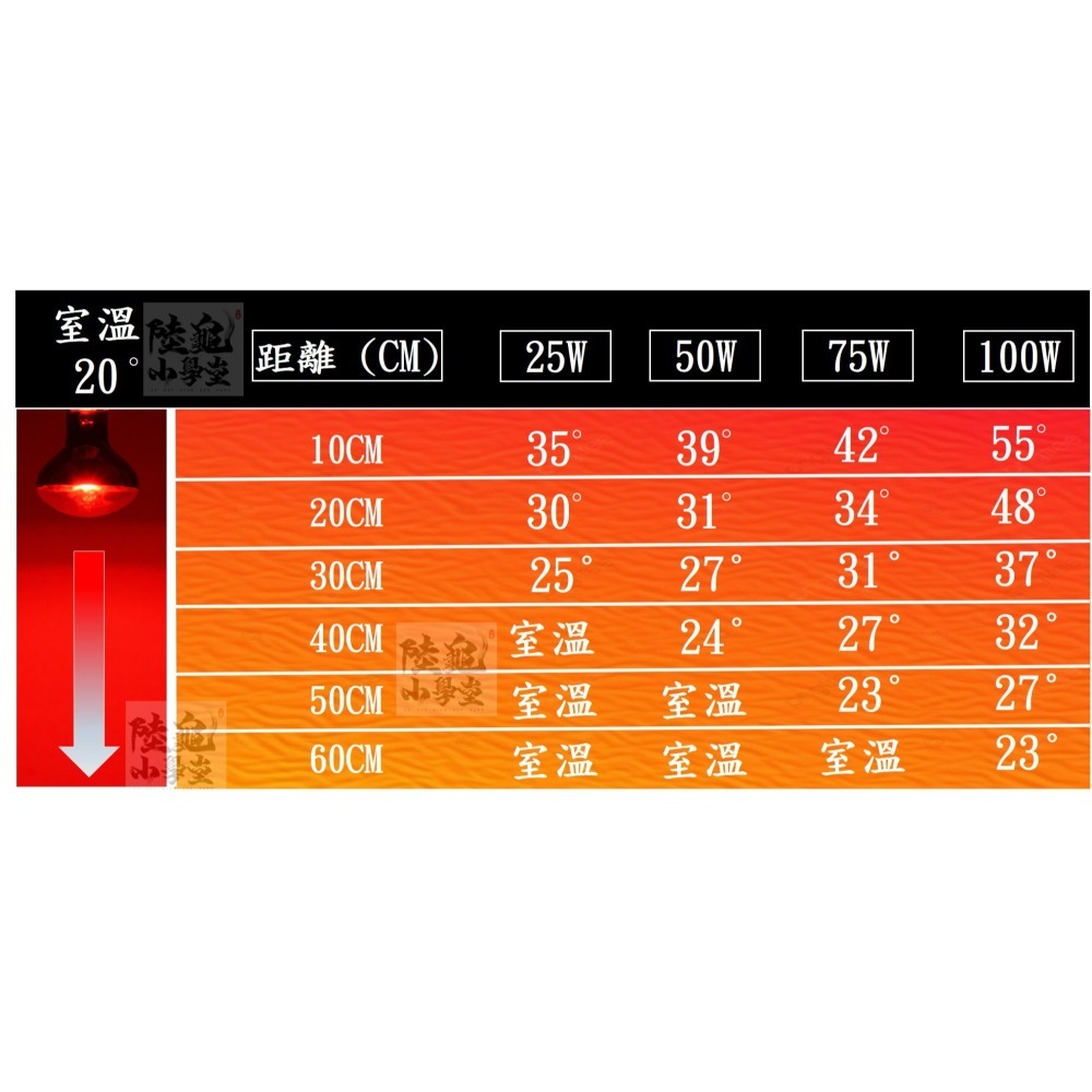 【陸龜小學堂】UVA 紅外線加熱燈 紅外線爬蟲加熱燈 紅光夜燈 陸龜變色龍蜥蜴蛇夜燈爬寵保溫-細節圖4