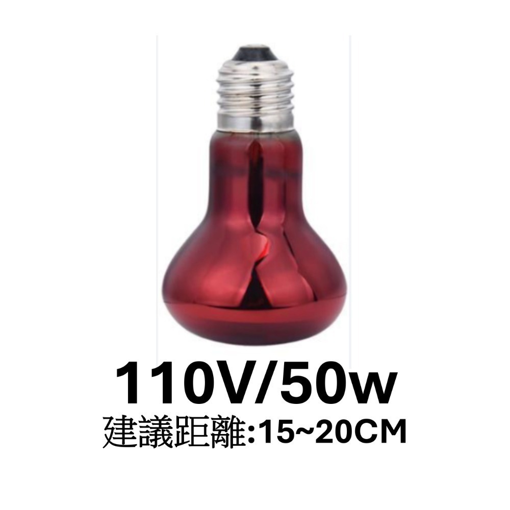 紅外線加溫燈 50w