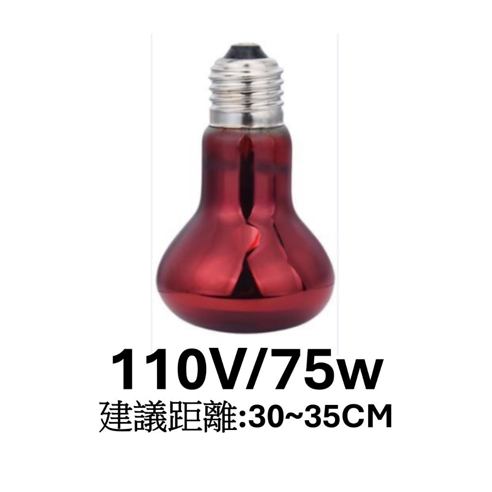 紅外線加溫燈 75w