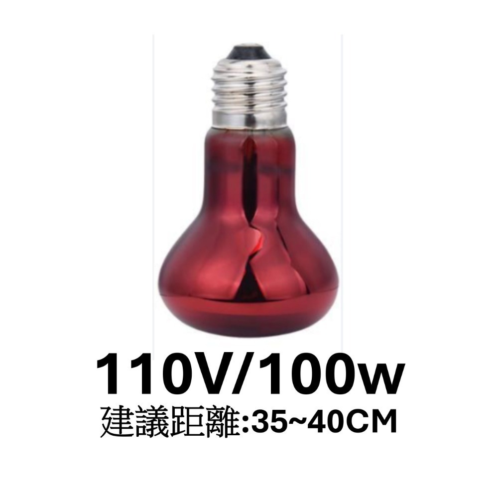 紅外線加溫燈 100w