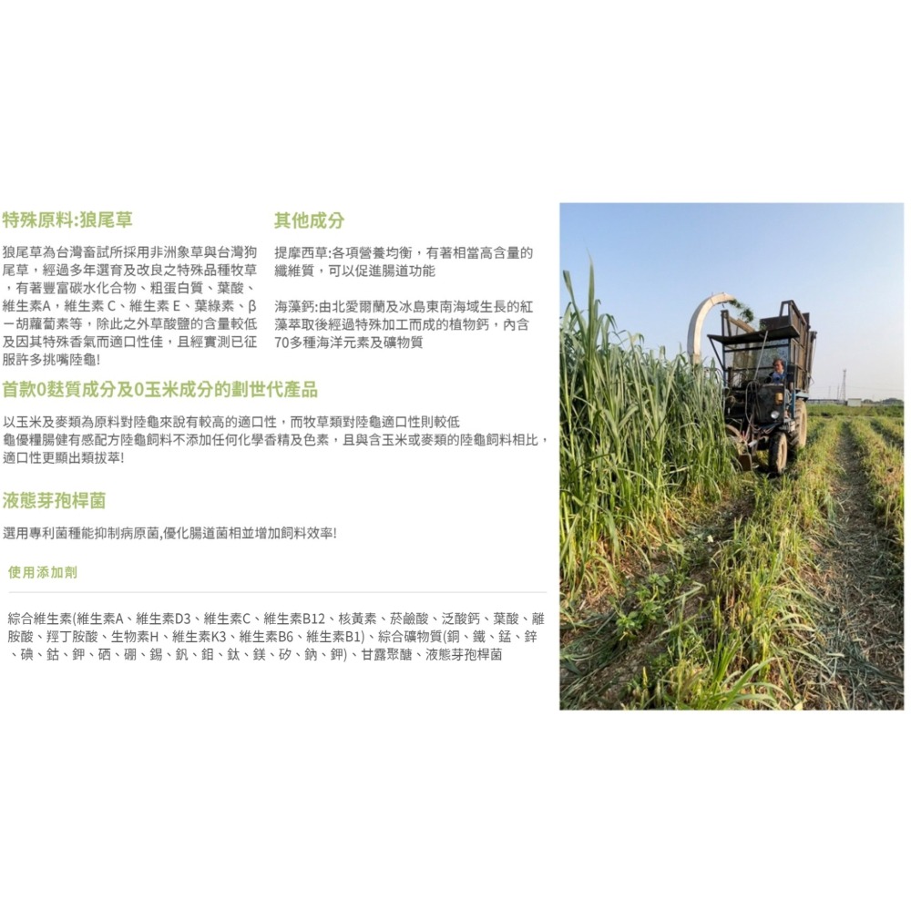 【陸龜小學堂】GreatU 龜優糧-全階段飼料  陸龜飼料  亞成體飼料-細節圖3