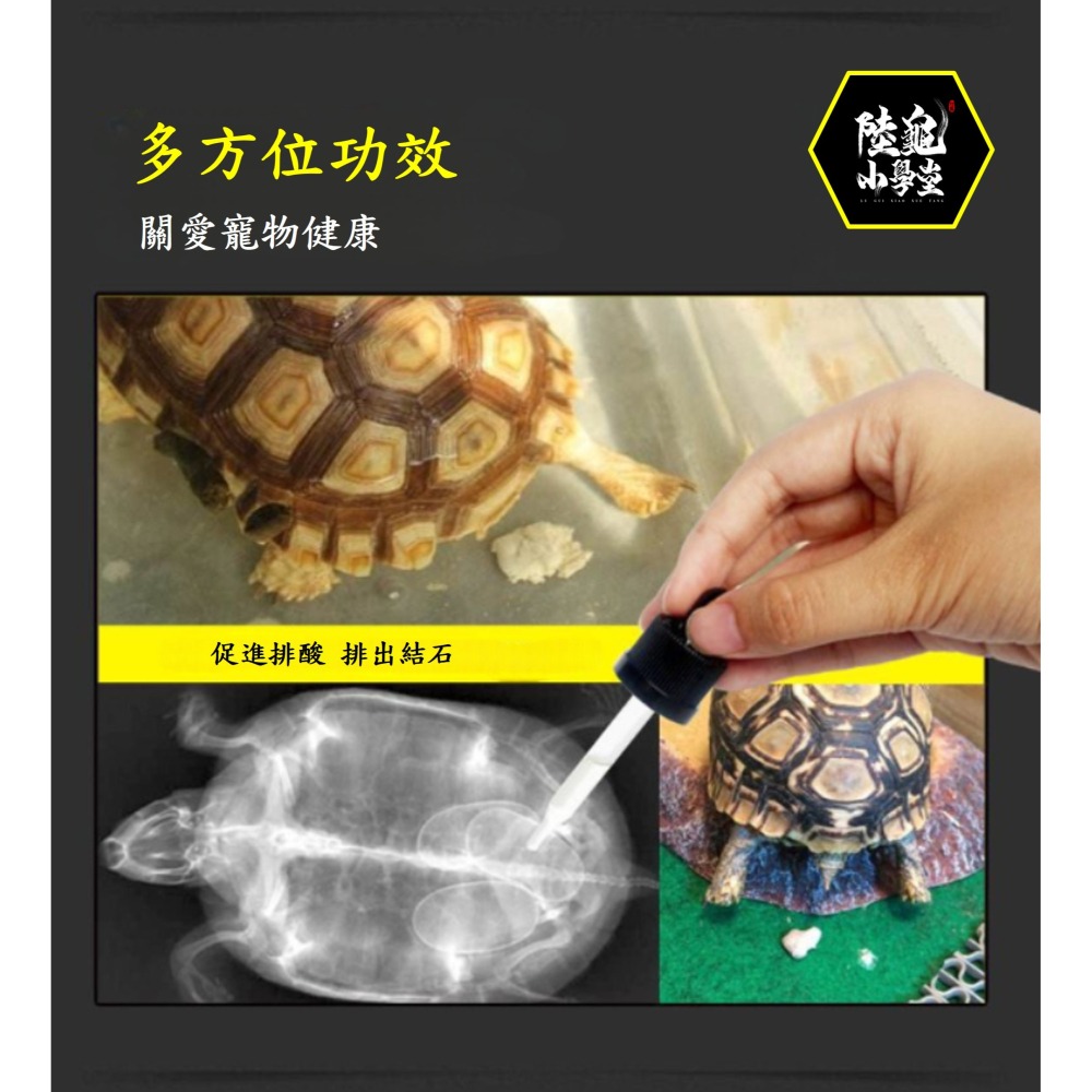 【陸龜小學堂】GYP 草本排酸液 排石液 陸龜排酸專用液 保健品 非藥用 30ml-細節圖2
