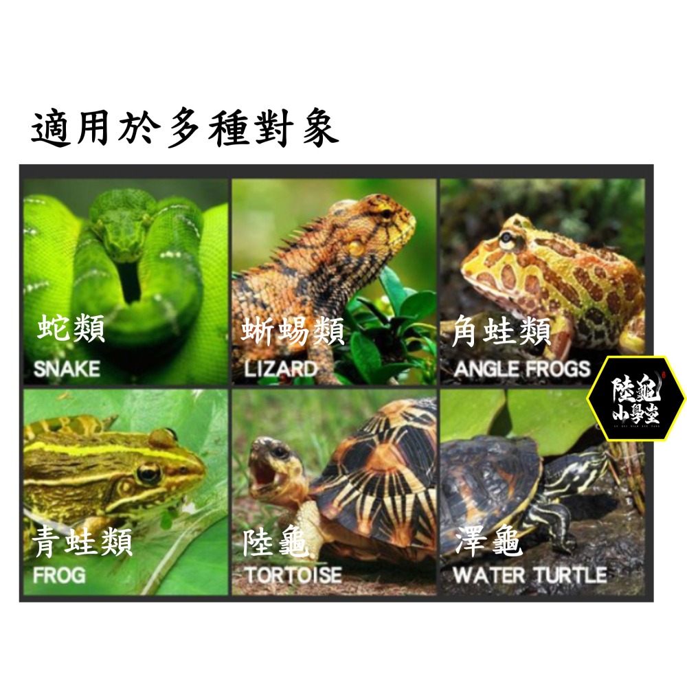 【陸龜小學堂】GYP 草本排酸液 排石液 陸龜排酸專用液 保健品 非藥用 30ml-細節圖3