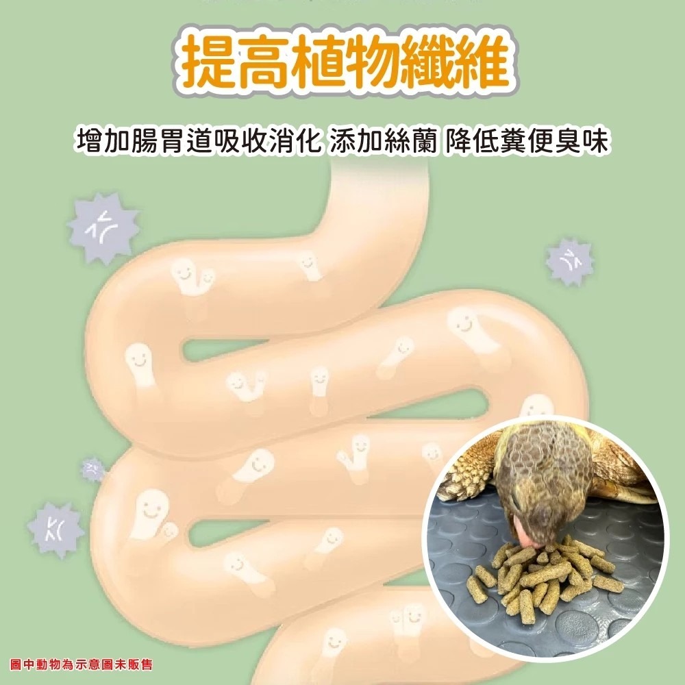 【陸龜小學堂】樂芙 LT15 陸龜飼料 陸龜主食 高纖飼料-細節圖4