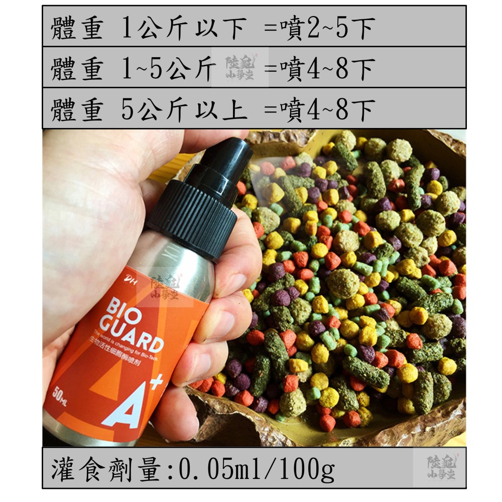 【陸龜小學堂】Macfn 益生菌活性酶 50ml 保健品 非藥用-細節圖2
