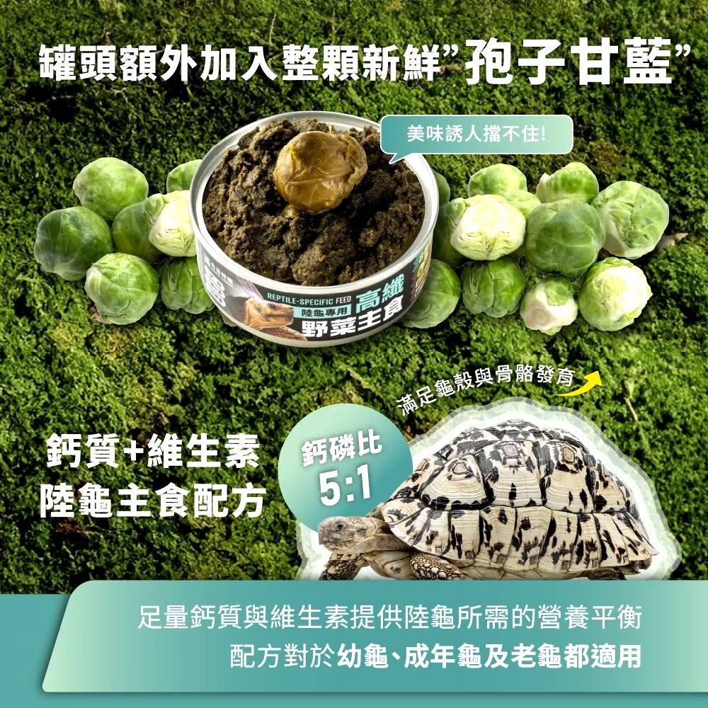【陸龜小學堂】陸龜高纖野菜泥罐頭 單罐 80g 陸龜飼料  草食型飼料   野菜泥罐頭-細節圖5