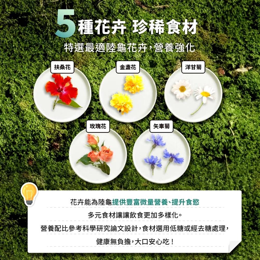 【陸龜小學堂】陸龜高纖野菜泥罐頭 單罐 80g 陸龜飼料  草食型飼料   野菜泥罐頭-細節圖6