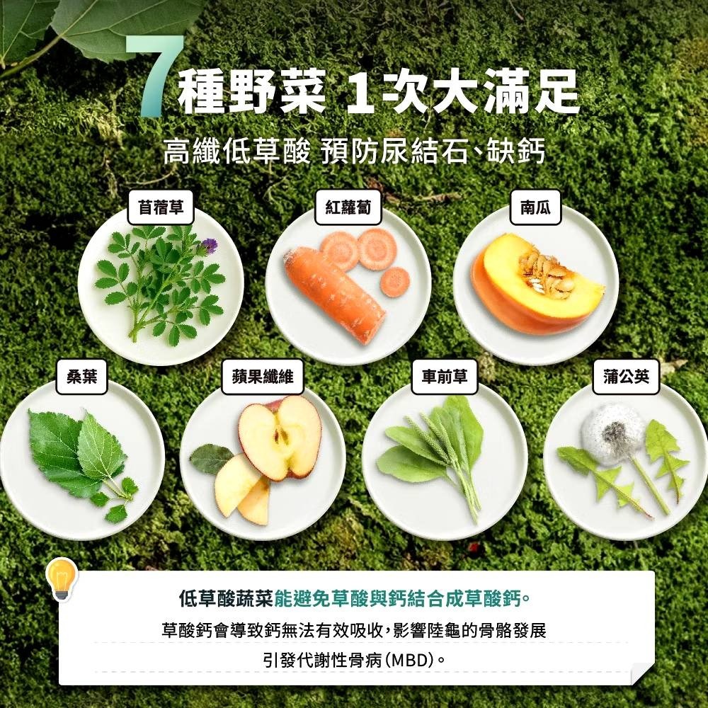 【陸龜小學堂】陸龜高纖野菜泥罐頭 單罐 80g 陸龜飼料  草食型飼料   野菜泥罐頭-細節圖7
