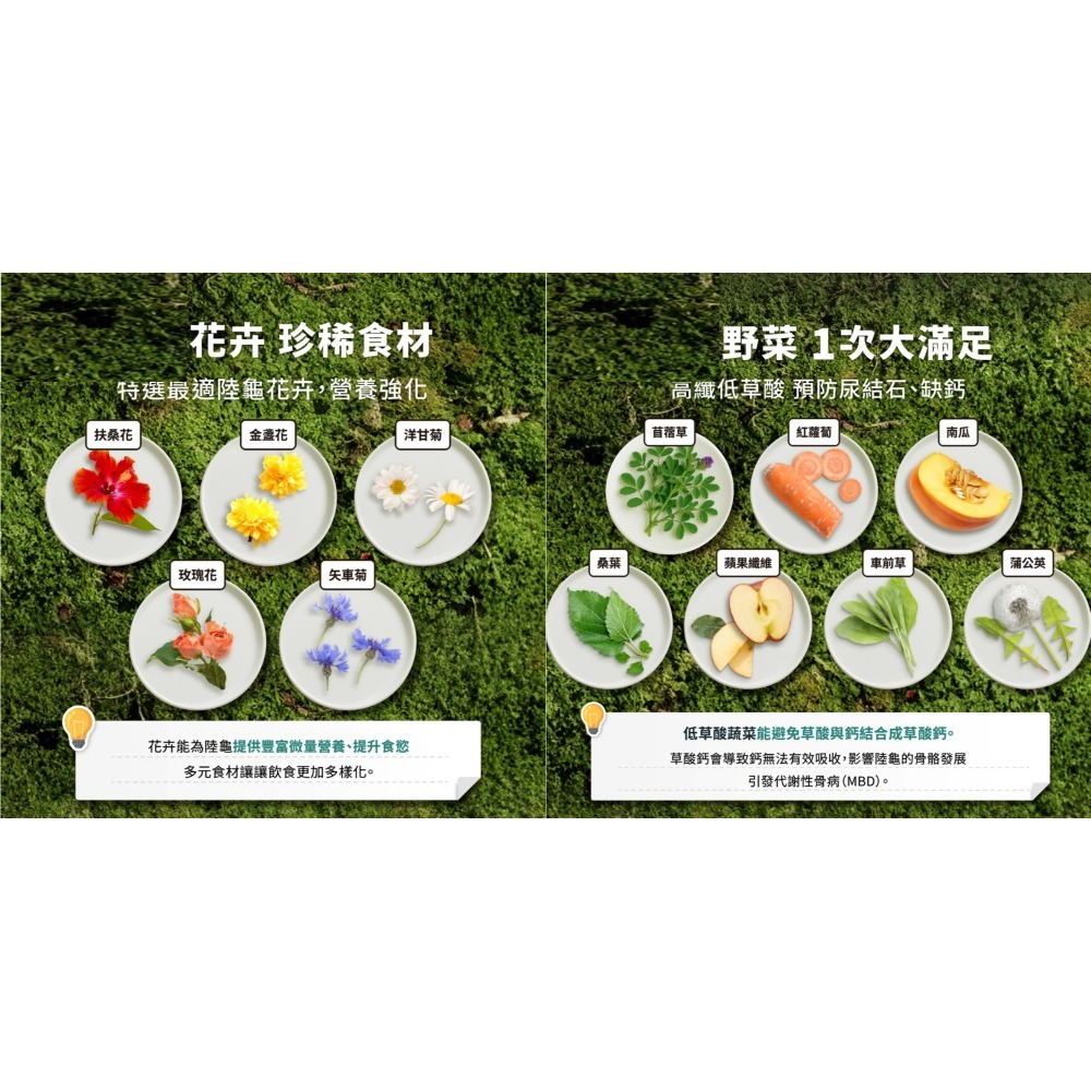 【陸龜小學堂】陸龜高纖野菜泥 陸龜飼料-細節圖2