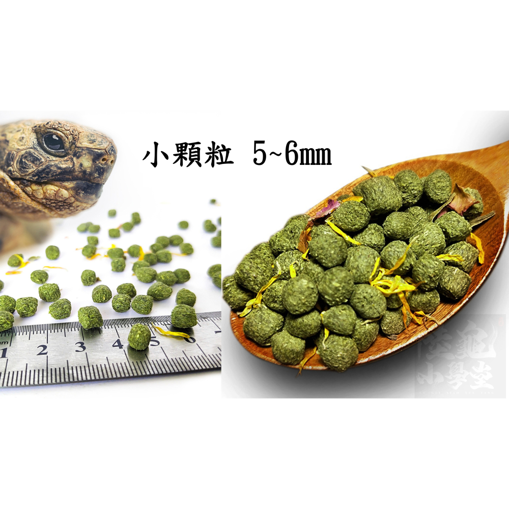 【陸龜小學堂】Macfn 仙人掌花草飼料 小顆粒 陸龜飼料 1.2KG-細節圖2