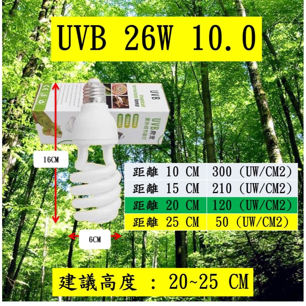 【陸龜小學堂】UVB燈泡 紫外線燈 爬蟲補鈣燈-細節圖2