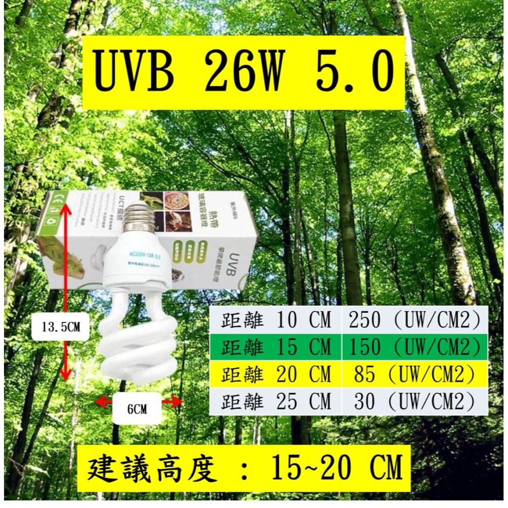 【陸龜小學堂】UVB燈泡 紫外線燈 爬蟲補鈣燈-細節圖4