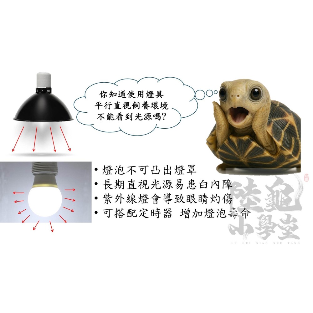 【陸龜小學堂】UVB燈泡 紫外線燈 爬蟲補鈣燈-細節圖5